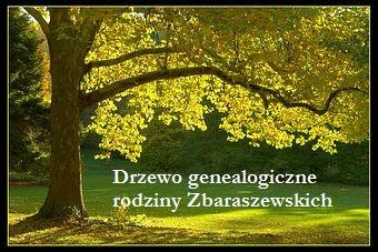 drzew_test1.jpg drzew test1